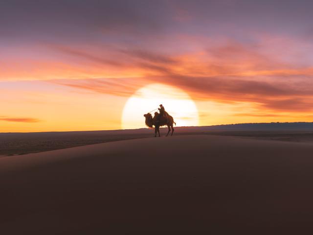 Experience your own Race Across The World — Mongolia Edition