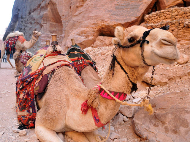 THE 13 BEST THINGS TO DO IN JORDAN