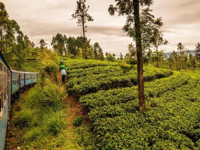 THE 18 BEST PLACES TO VISIT IN SRI LANKA