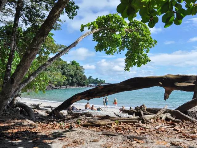 EXPLORE MANUEL ANTONIO NATIONAL PARK