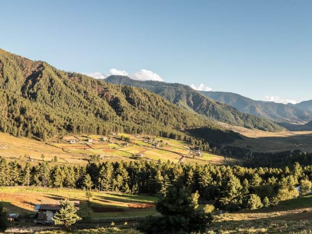 Gangtey Lodge