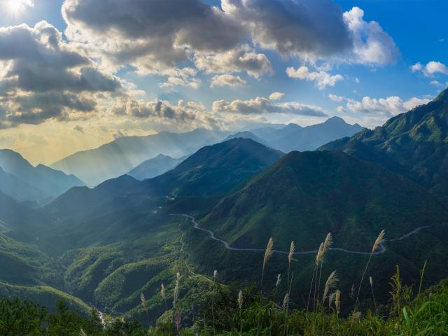 Sapa