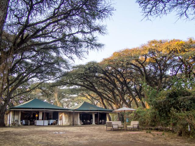 Sanctuary Ngorongoro Crater Camp