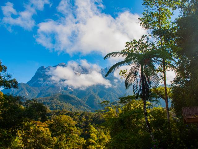 Kinabalu National Park