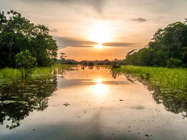 Southern Peruvian Amazon