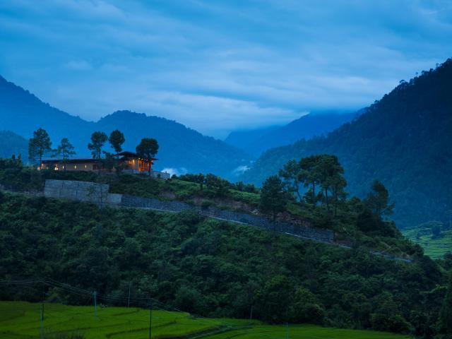 Como Uma Punakha