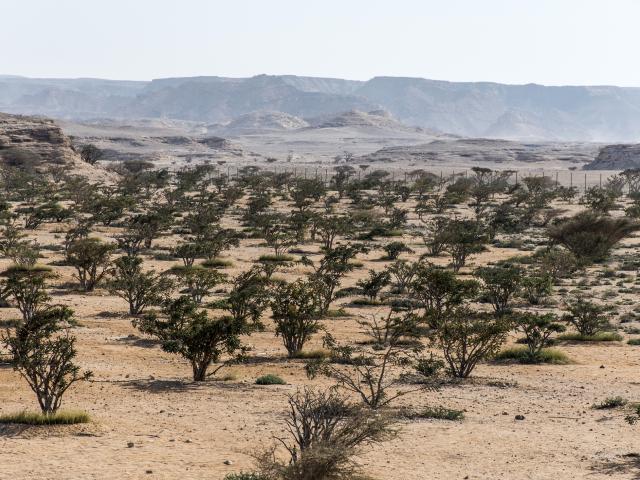 Explore west of Salalah