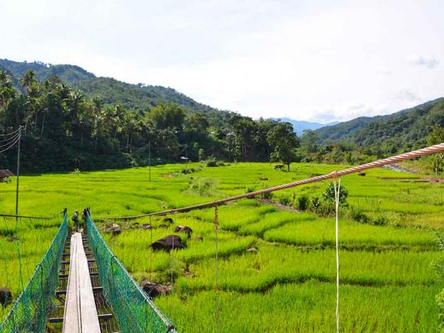 Discover village life
