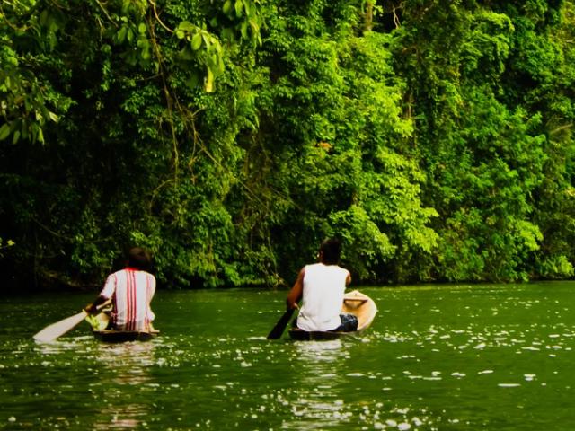 Go kayaking in Rio Dulce