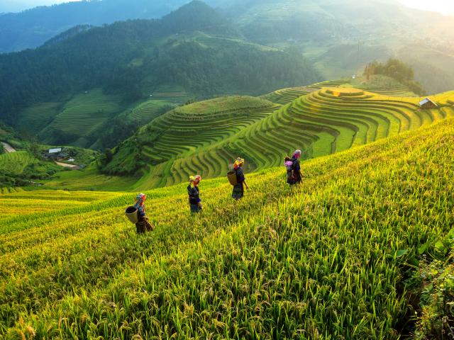 Hike to a remote homestay