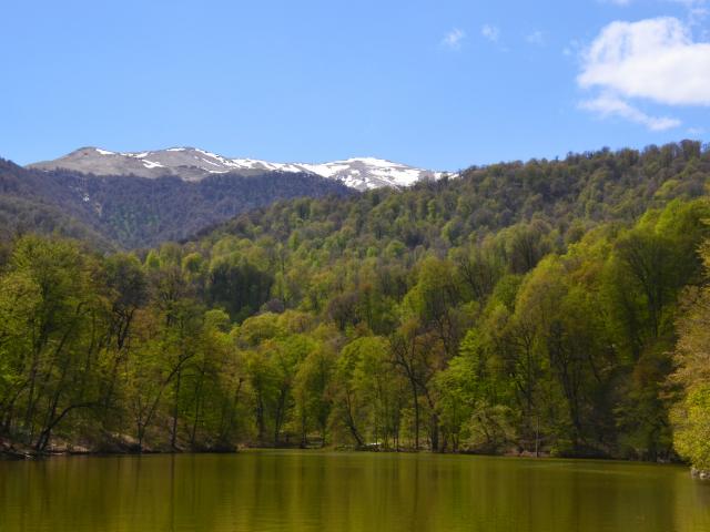 Dilijan