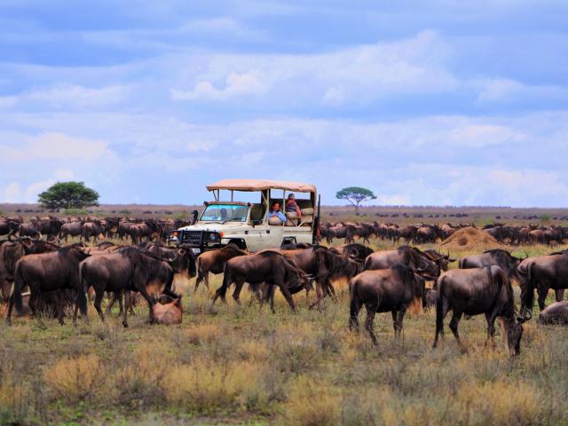 Sanctuary Ngorongoro Crater Camp