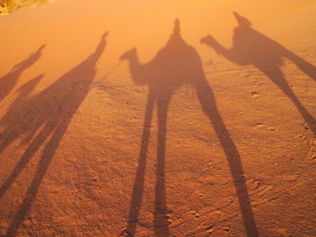 Ride camels through the desert