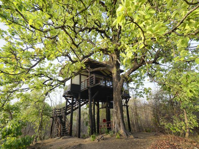 Pench Tree Lodge