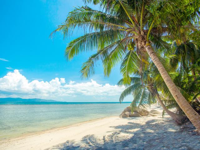 Visit Koh Phangan’s deserted beaches