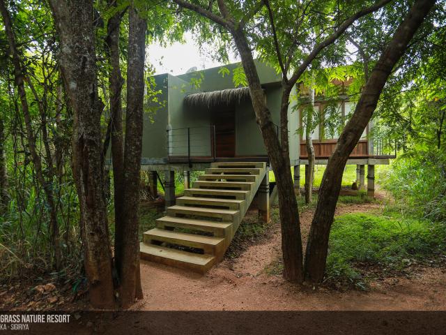 Wild Grass Nature Resort