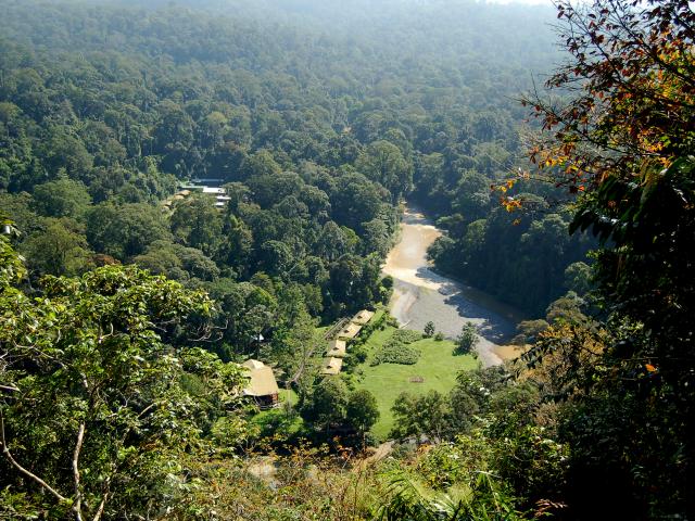 Embark on a river expedition