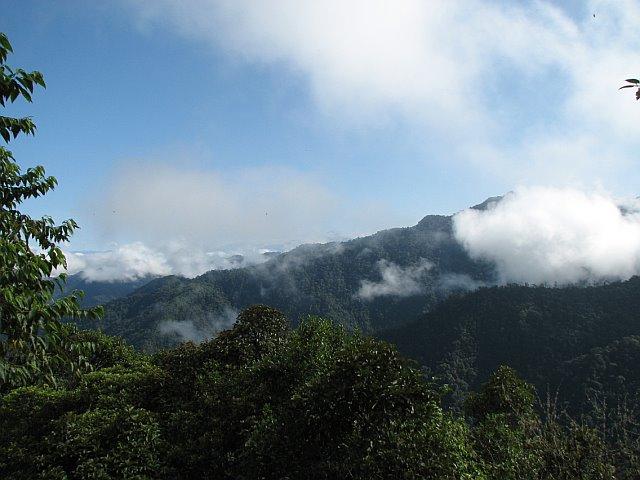 Be immersed in steamy cloud forest