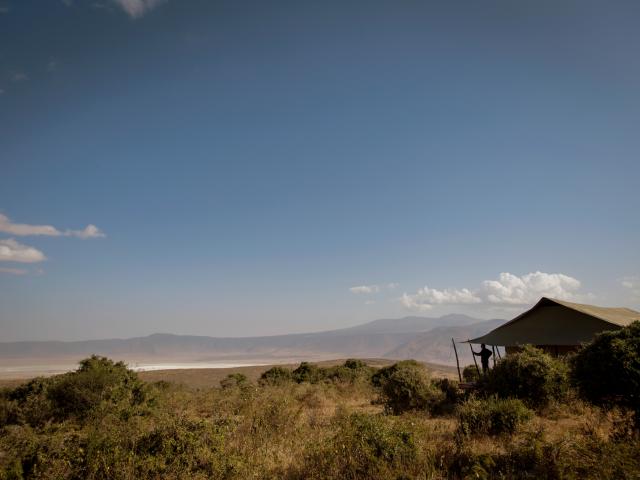 Entamanu Ngorongoro