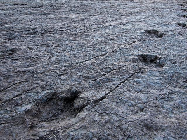 Trek in search of dinosaur tracks