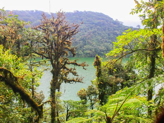 Hike up the Cerro Chato Volcano