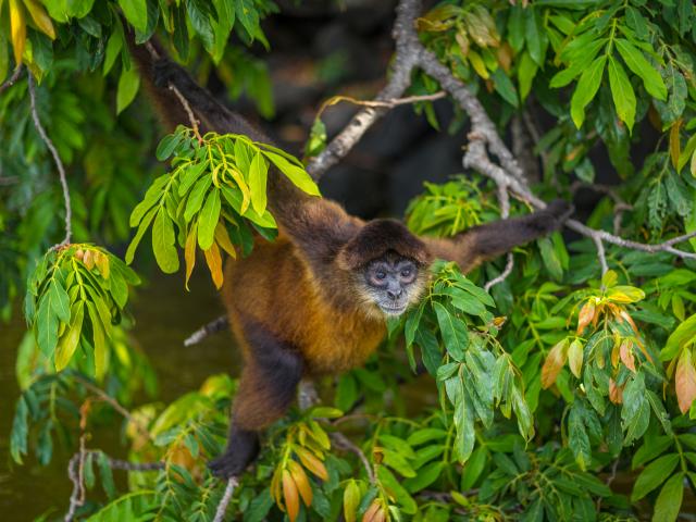 Discover El Chocoyero Nature Reserve