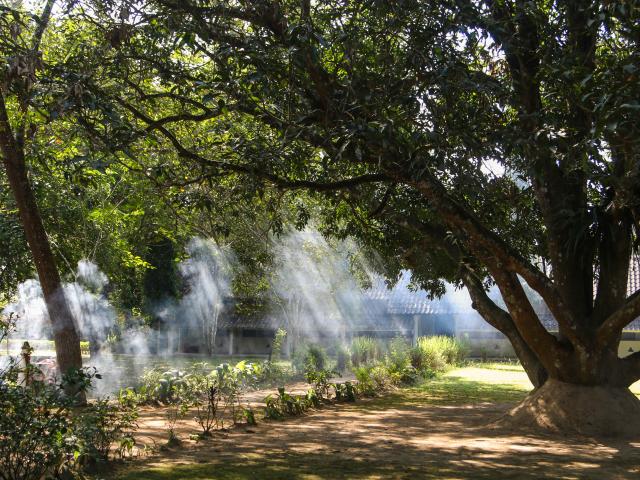 Tiger Tops Tharu Lodge