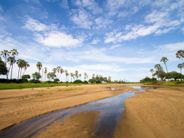 Discover this huge but rarely explored park