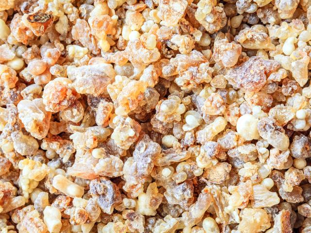 Learn about the ancient Frankincense trail