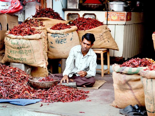 Wander through the Old City of Jaipur