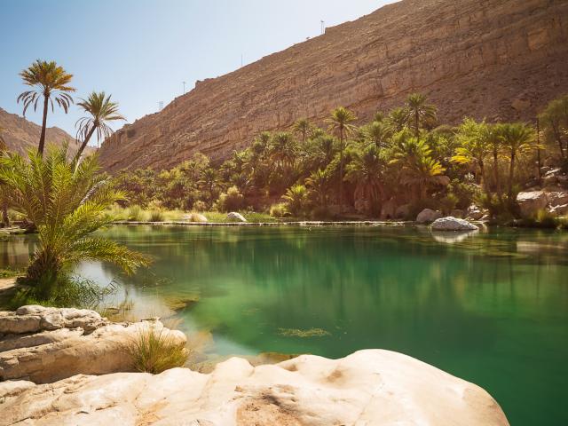 Discover a beautiful desert oasis