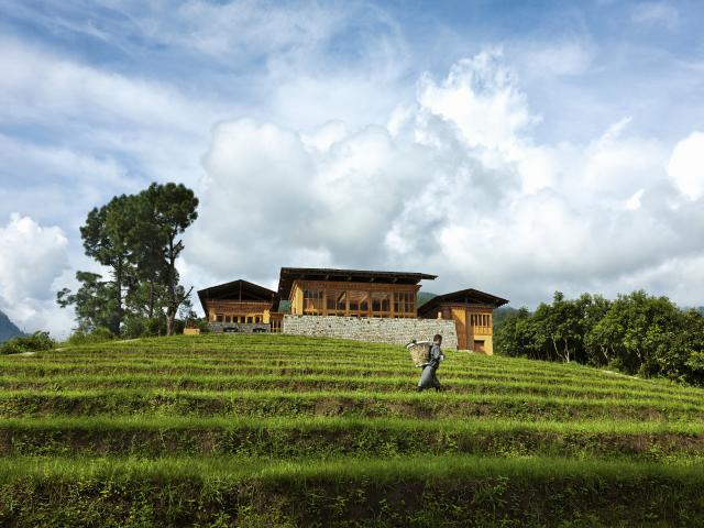 Como Uma Punakha