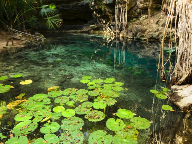 Snorkel in the blue crater