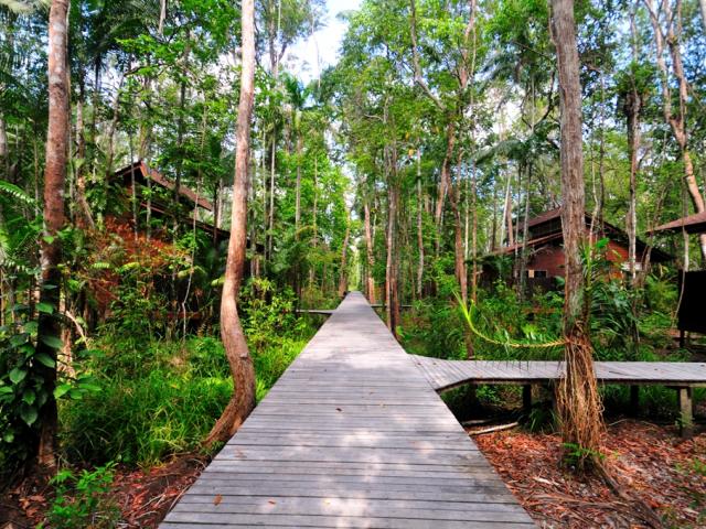 Kinabatangan Wetlands Resort