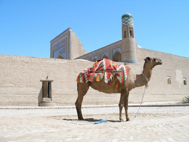 Venture outside of Ichon Qala Wall
