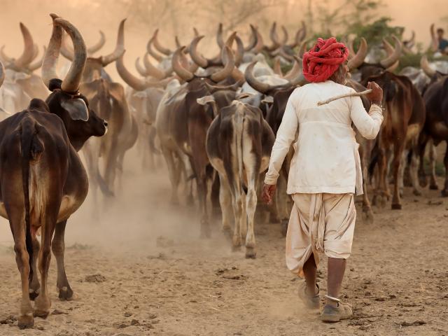 Gujarat