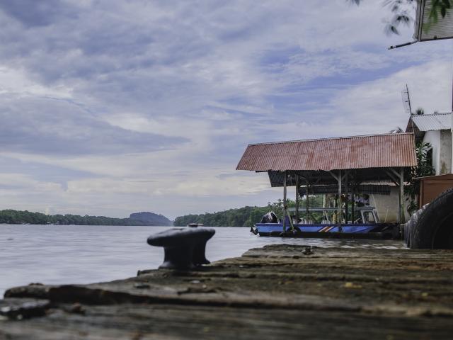 Do a canoe wildlife and bird tour