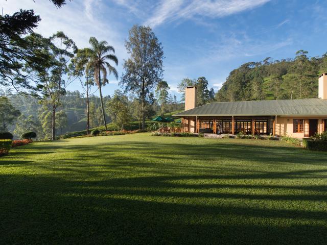 Ceylon Tea Trails