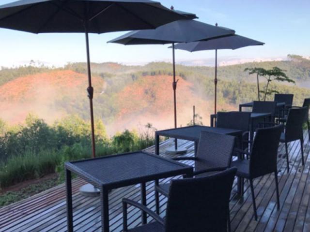 Mantadia Lodge
