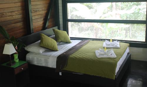 Sani Lodge, Ecuadorian Amazon