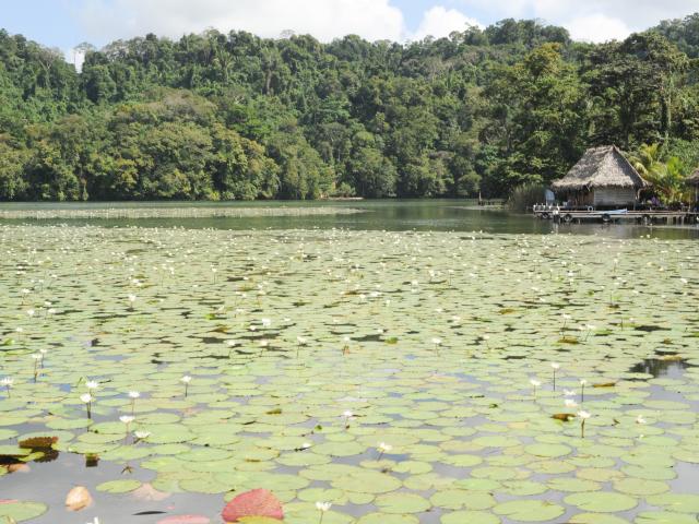Rio Dulce & Livingston