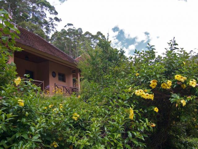 Vakona Forest Lodge
