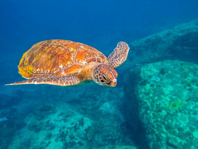 Andaman Islands