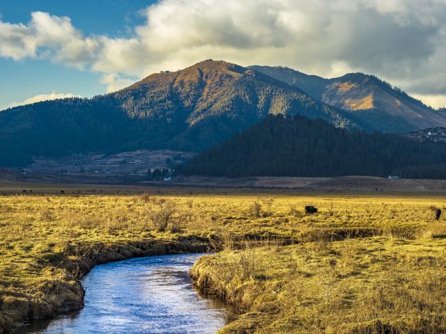 Hike the Phobjikha Valley