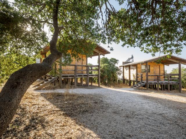 Ajloun Forest Reserve Cabins, Ajloun
