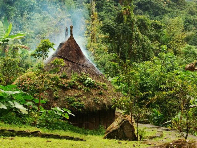 Attempt the Lost City Trek