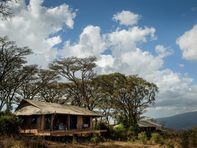 Entamanu Ngorongoro