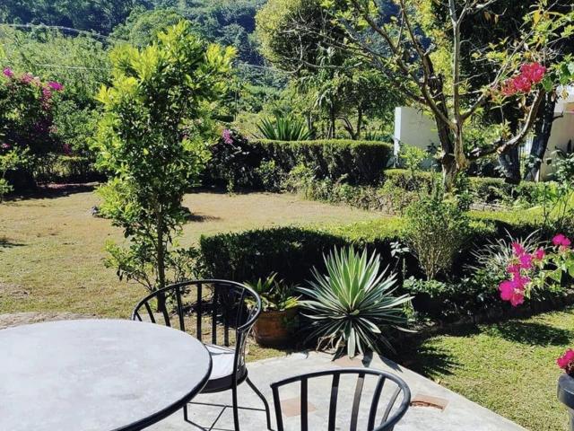 Amba Estate