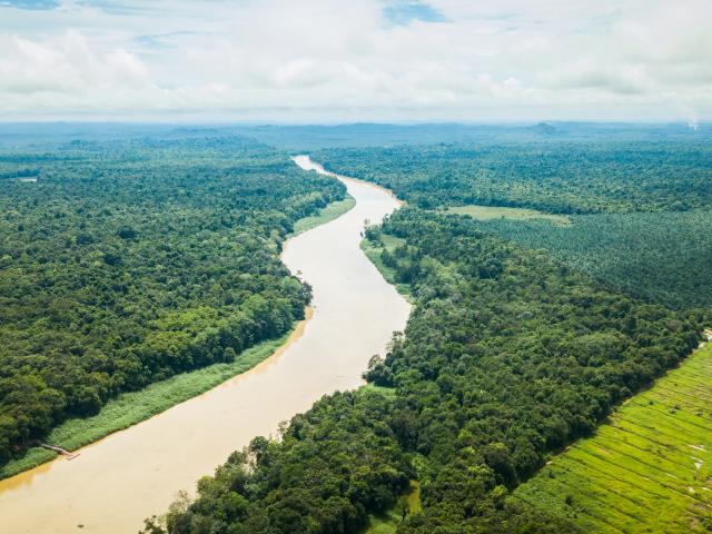 Kinabatangan River
