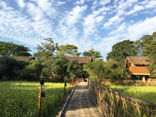 Diphlu River Lodge, Kaziranga National Park